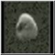 L'asteroide 1998 WT24